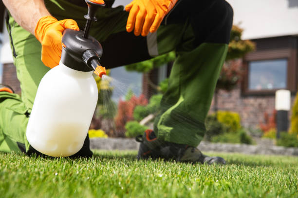 Best Pest Control Near Me  in North Bethesda, MD