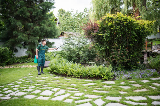 Best Residential Pest Control  in North Bethesda, MD