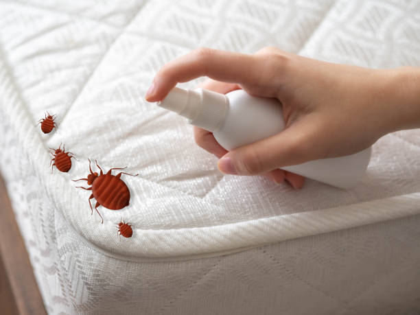 Best Exterminator Services  in North Bethesda, MD