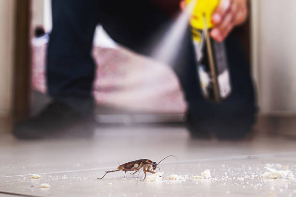 Best Rat Extermination Near Me  in North Bethesda, MD