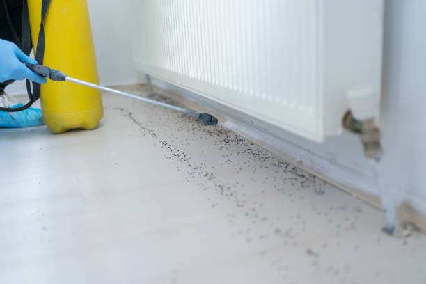 Wildlife Control Services in North Bethesda, MD