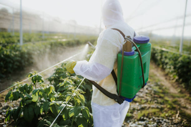 Professional Pest Control in North Bethesda, MD